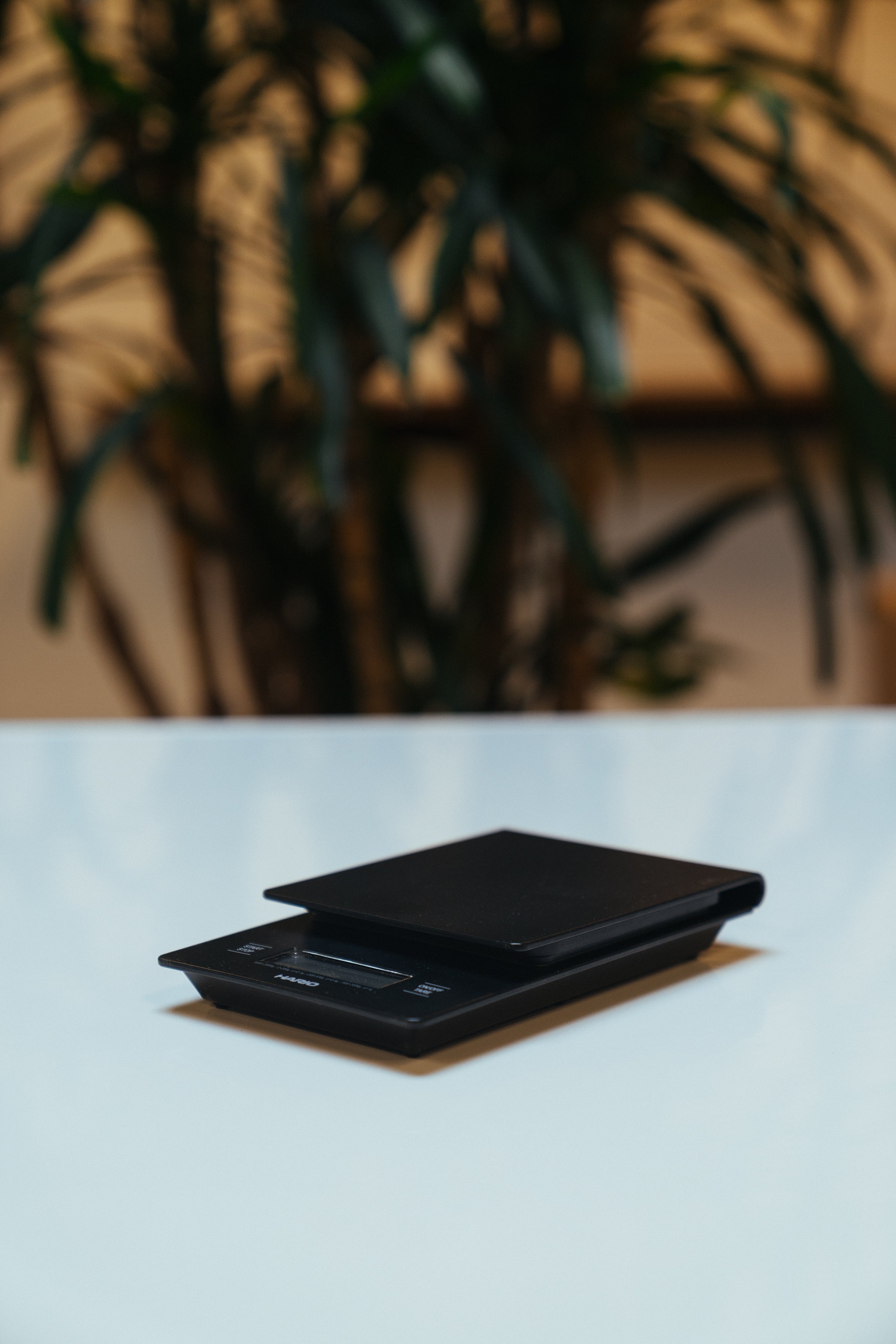 Hario V60 Drip Scale