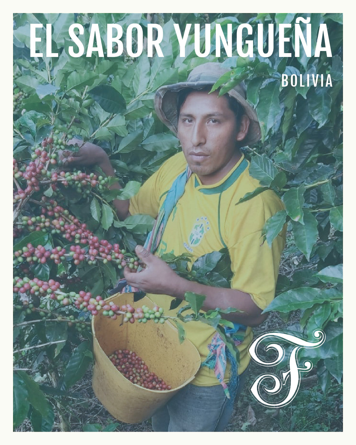 Bolivia El Sabor Yungueña