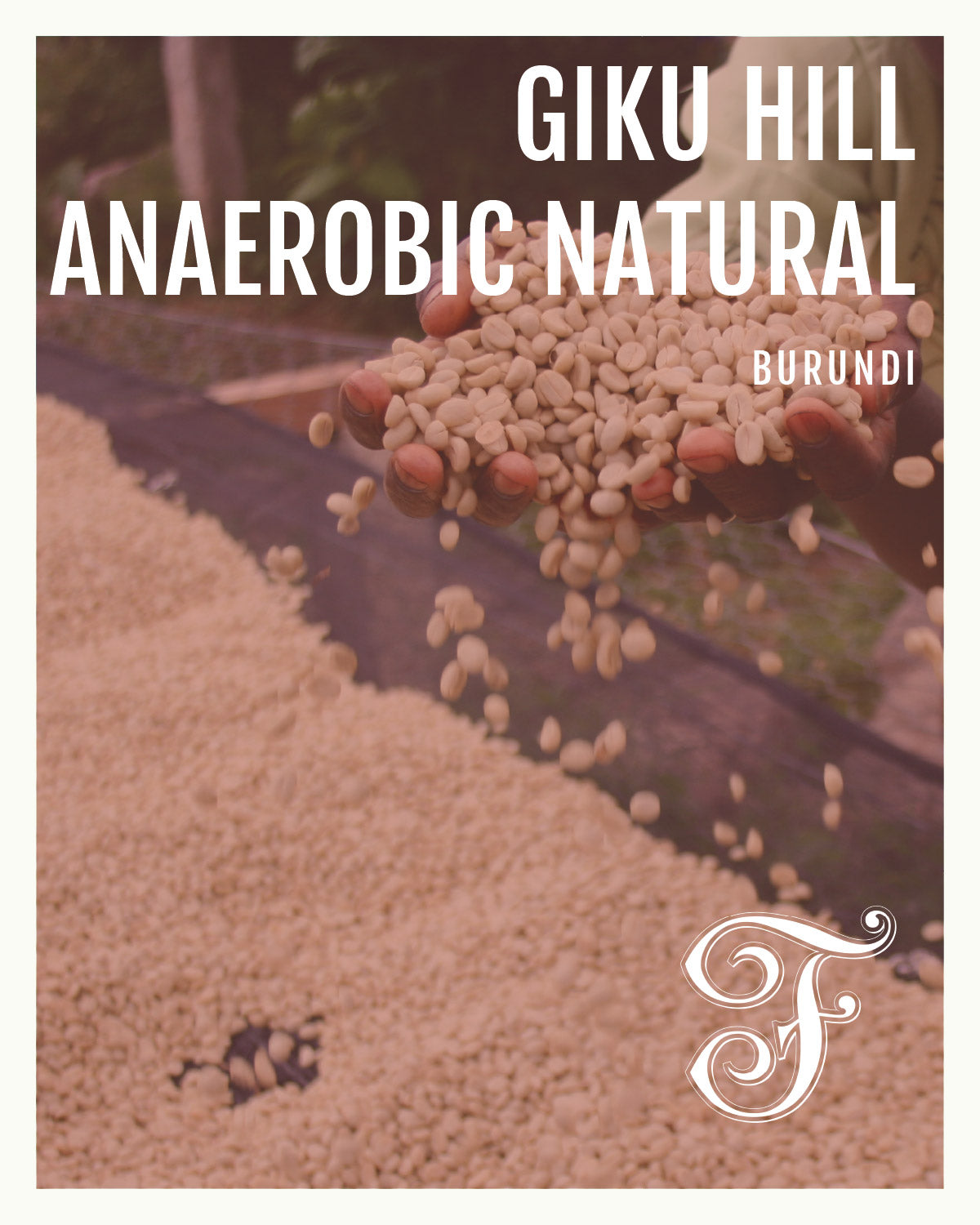 Burundi Giku Hill Anaerobic Natural