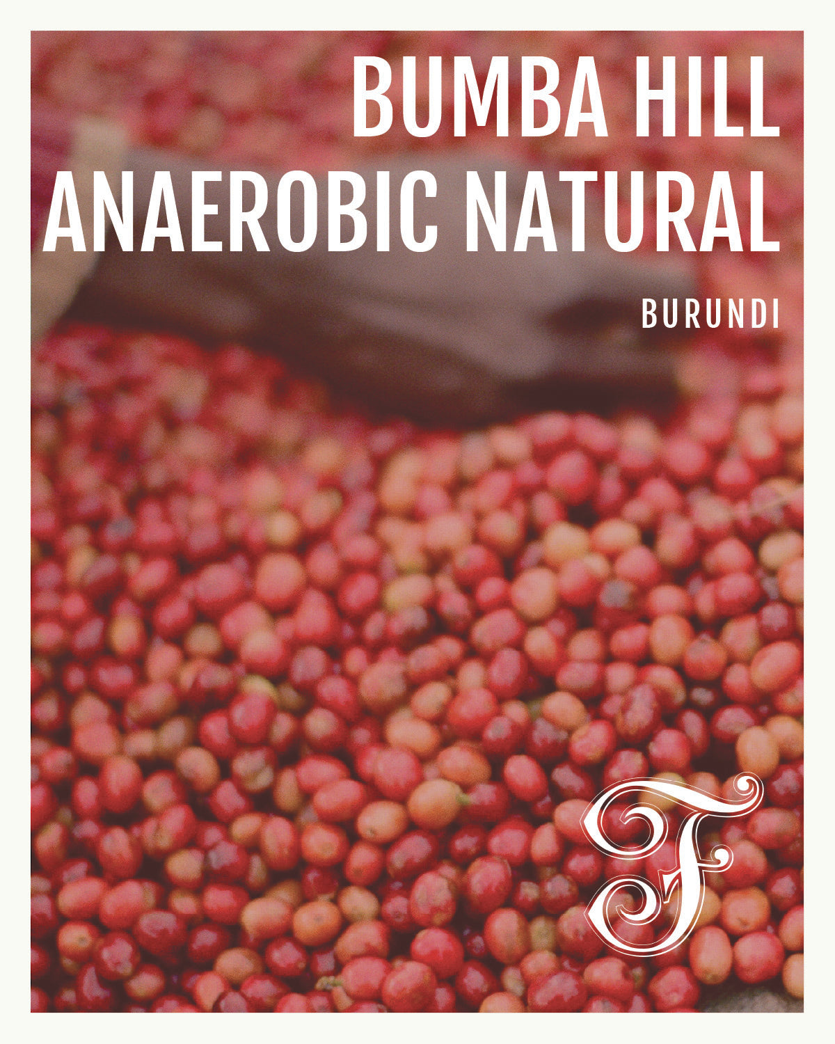 Burundi Bumba Hill Anaerobic Natural