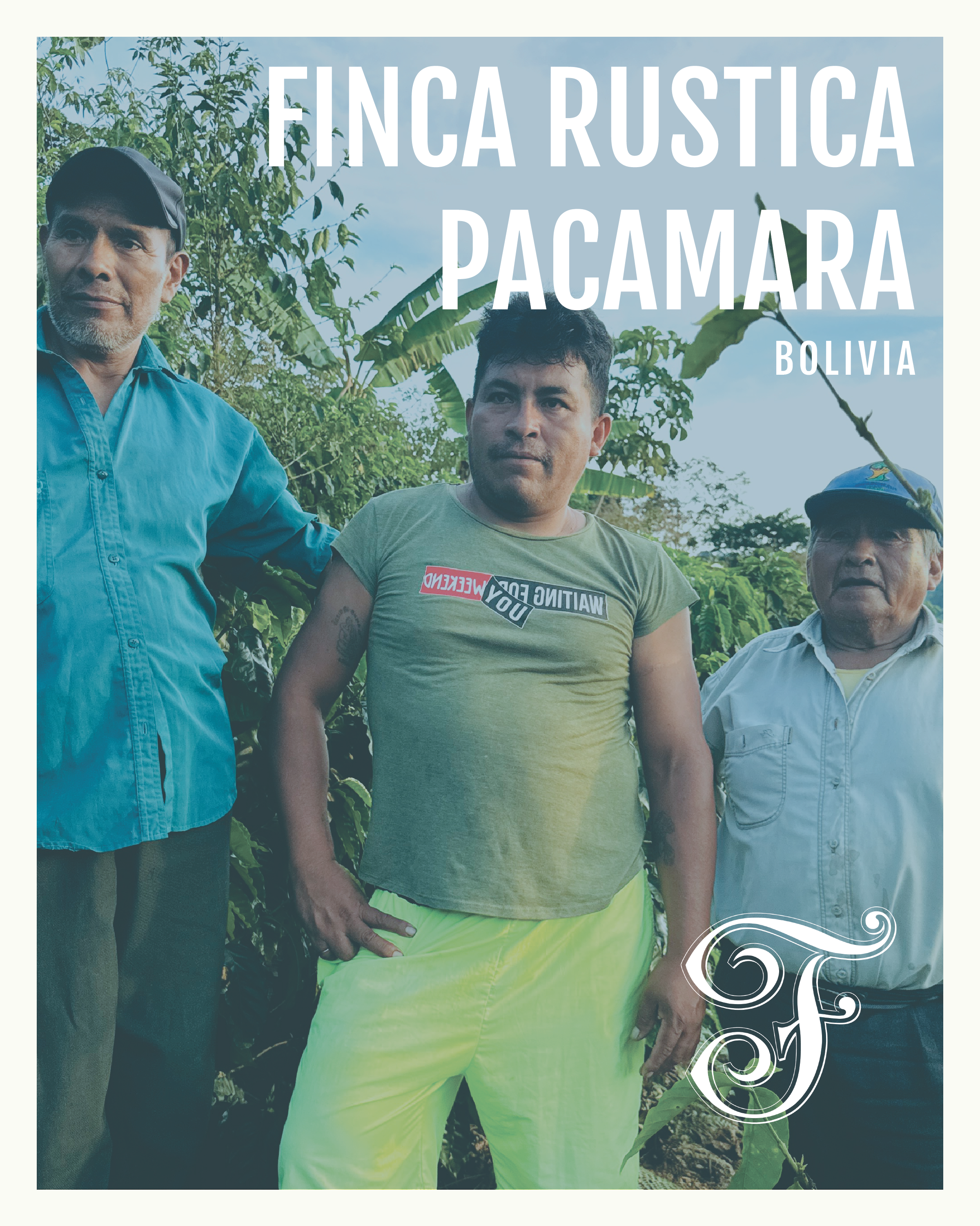 Bolivia Finca Rustica Pacamara