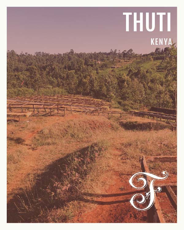 Kenya Thuti
