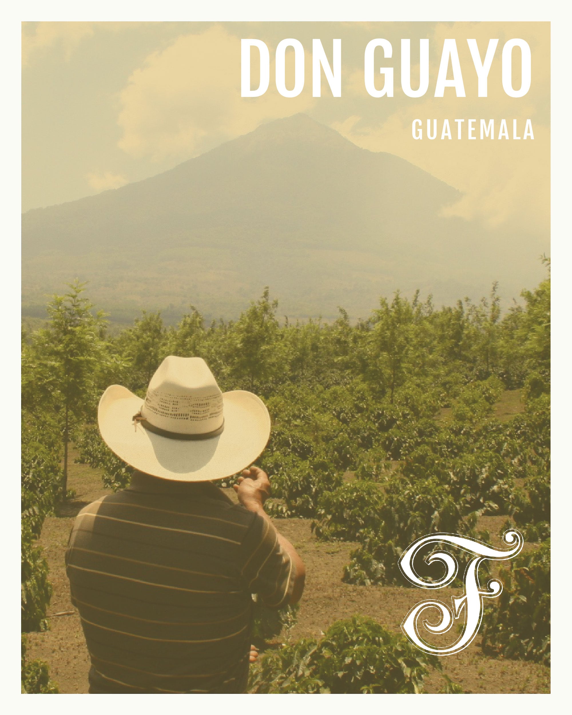 Guatemala Don Guayo