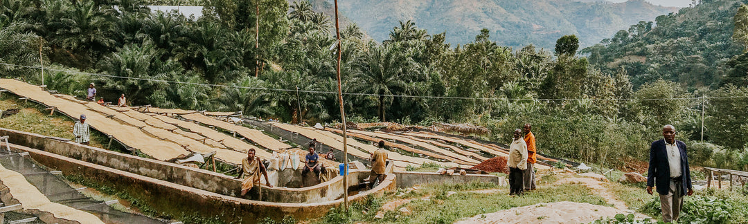 Coffee Sourcing Part 1: <br>Commodities and Direct Trade