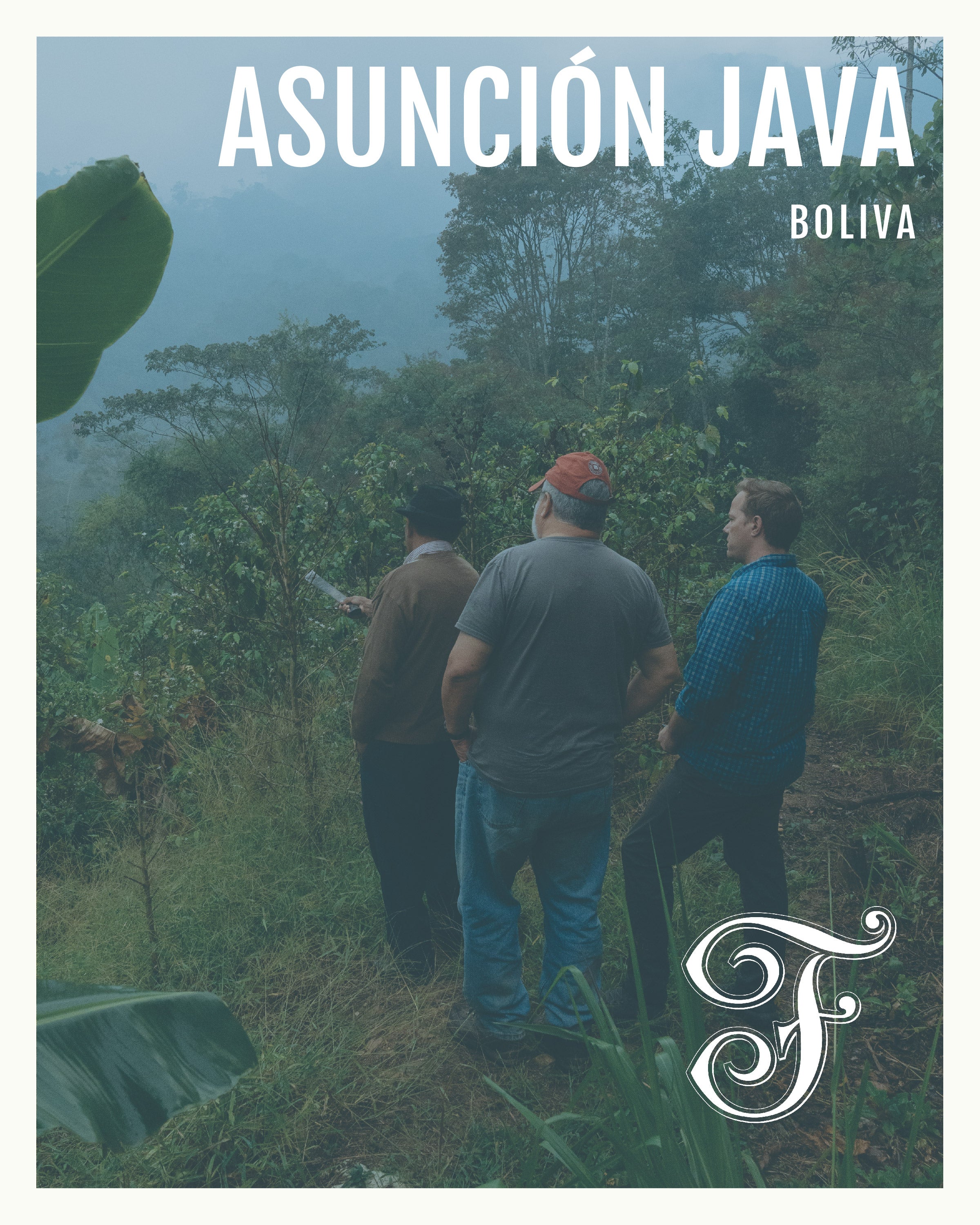 Asuncion Java Bolivia