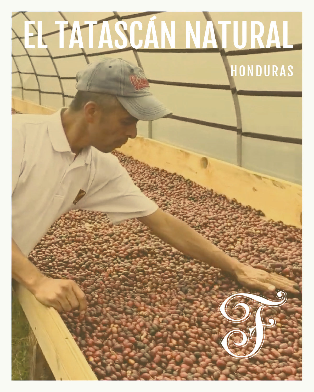 Honduras El Tatascán Natural