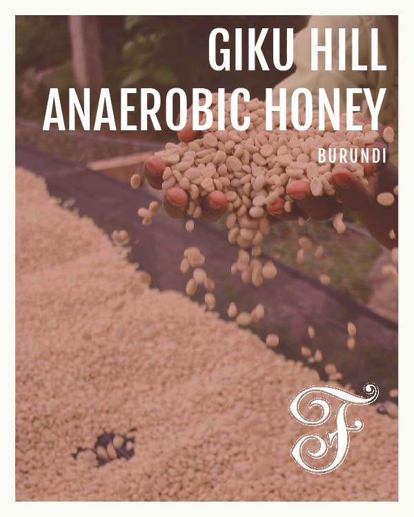 Burundi Giku Hill Anaerobic Honey