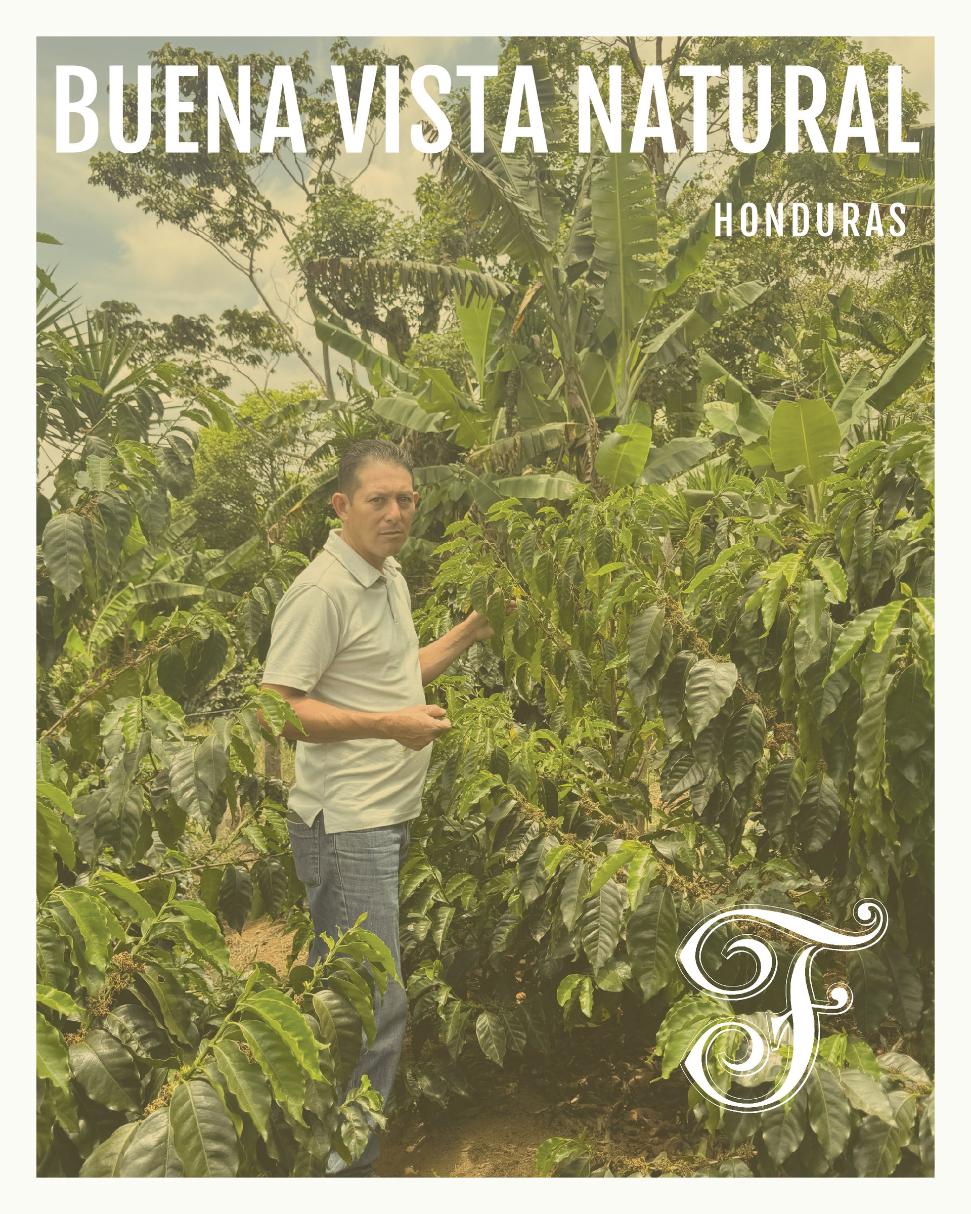 Photo of Honduras Buena Vista Natural
