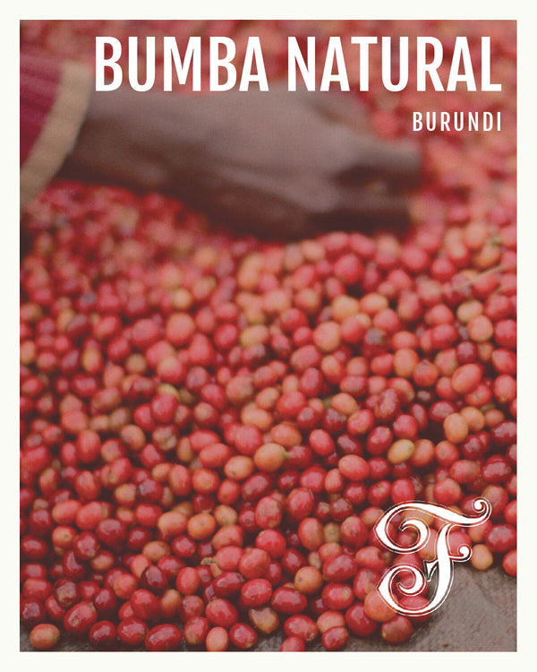Burundi Bumba Hill Natural Anaerobic Espresso