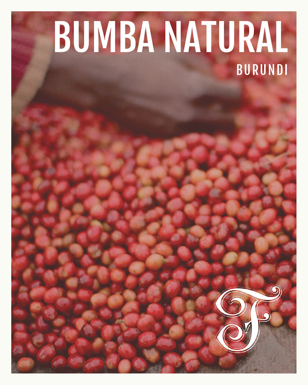 Photo of Burundi Bumba Hill Natural Espresso