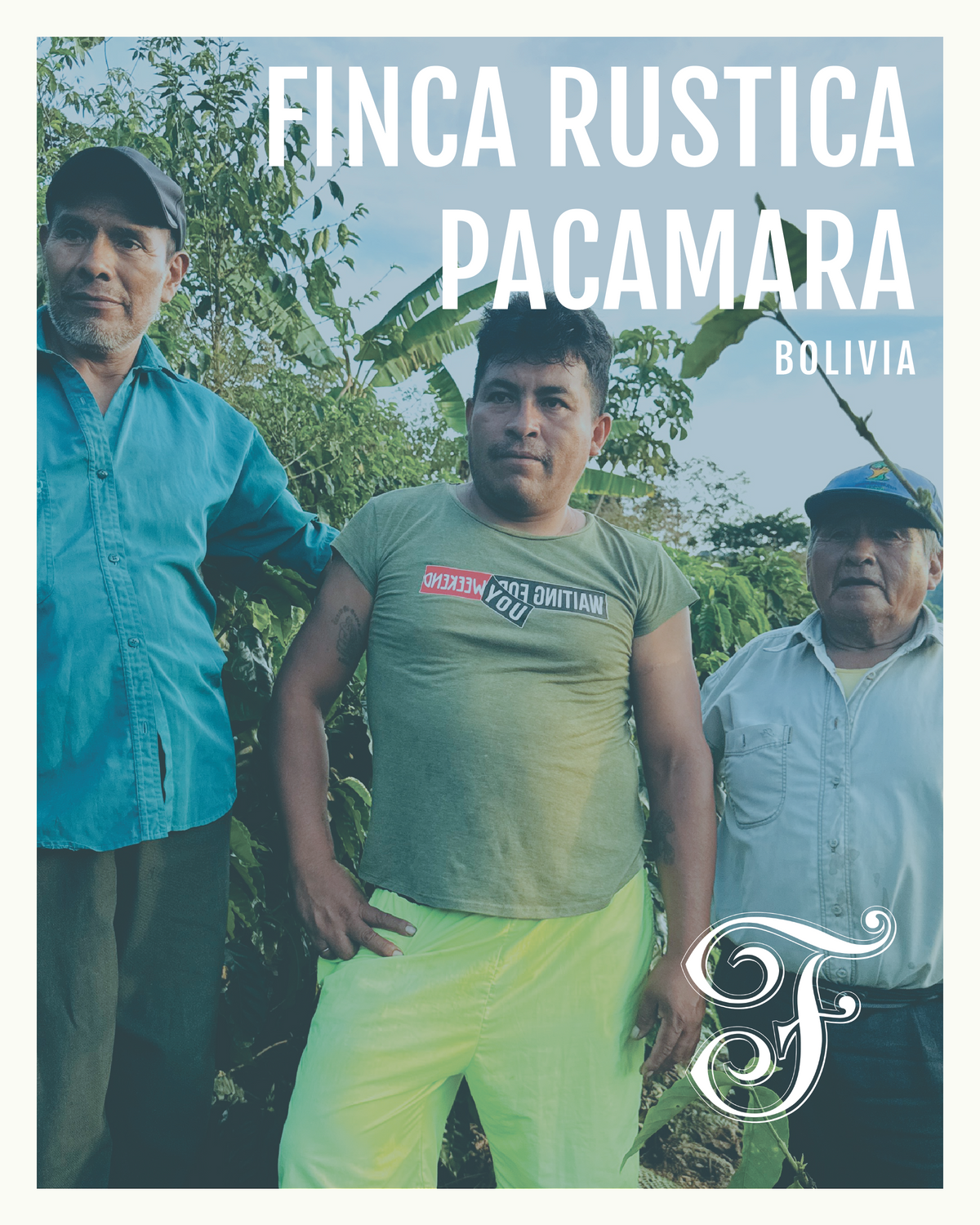 Photo of BOLIVIA FINCA RUSTICA PACAMARA