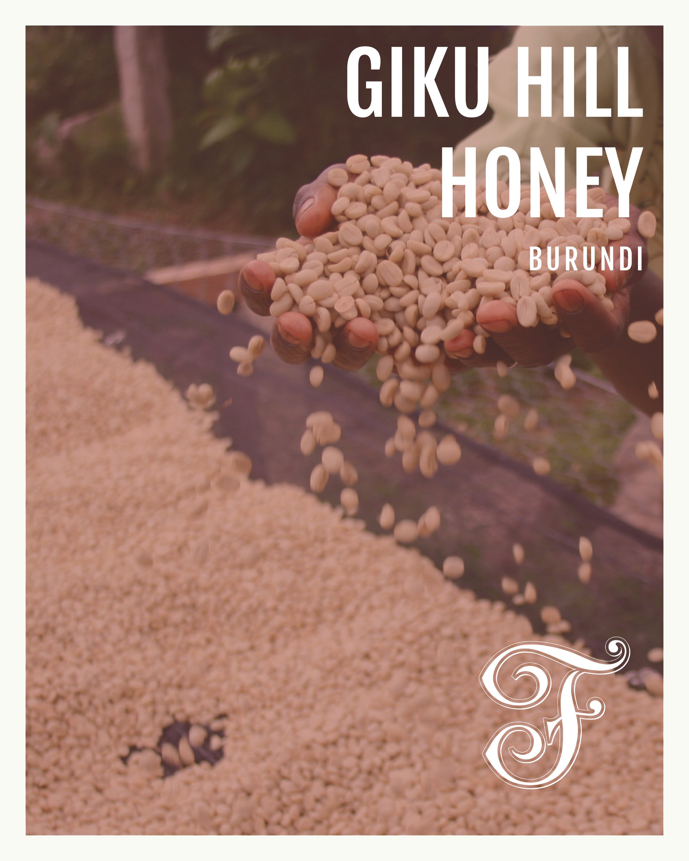 Burundi Giku Hill Honey Espresso
