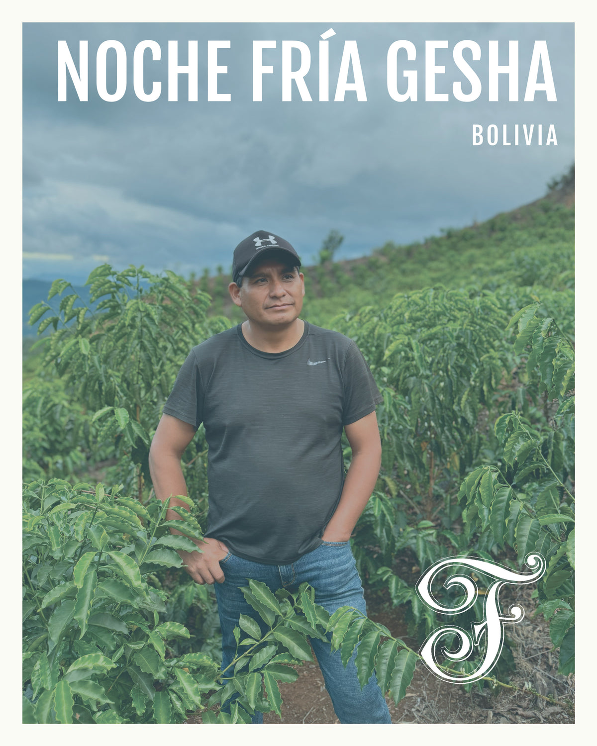 Bolivia Noche Fría Gesha