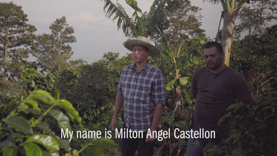 Farm video with Milton Castellon