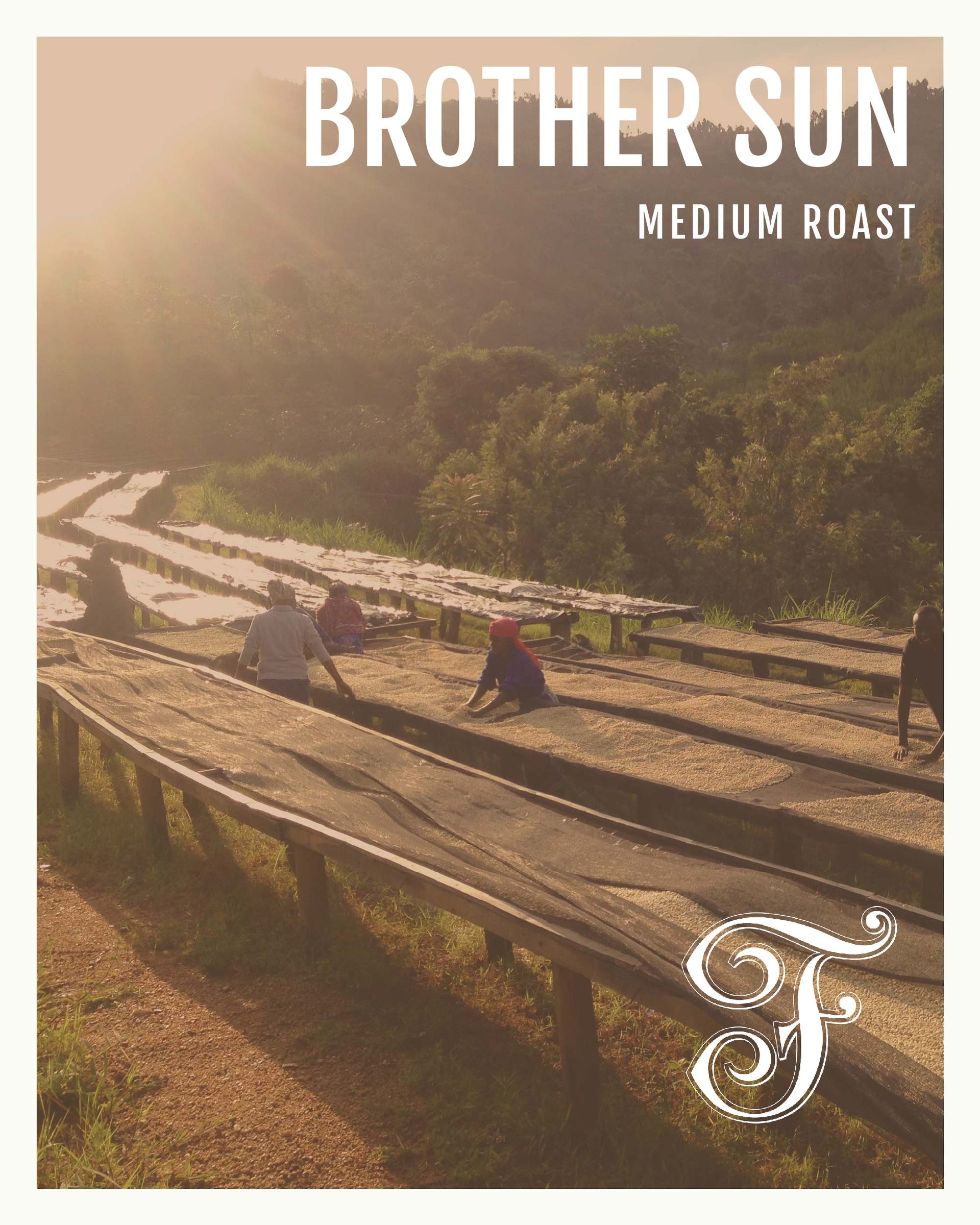 Photo of Brother Sun