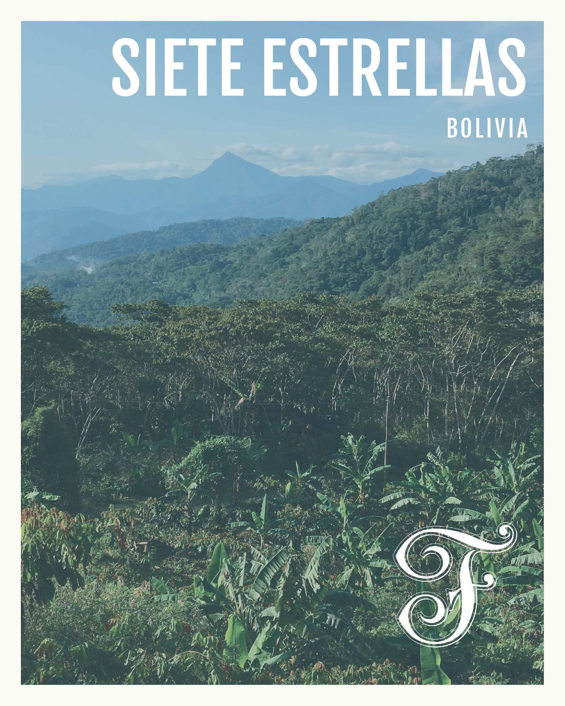Photo of Bolivia Siete Estrellas - 10oz
