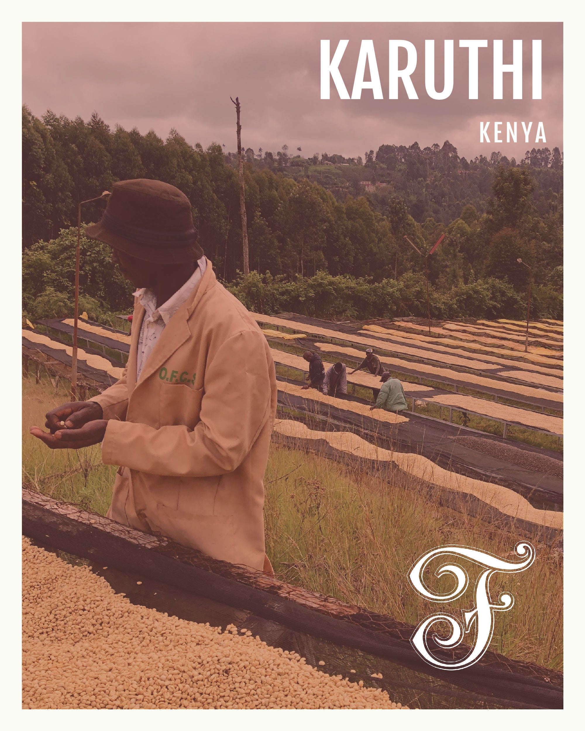 Kenya Karuthi