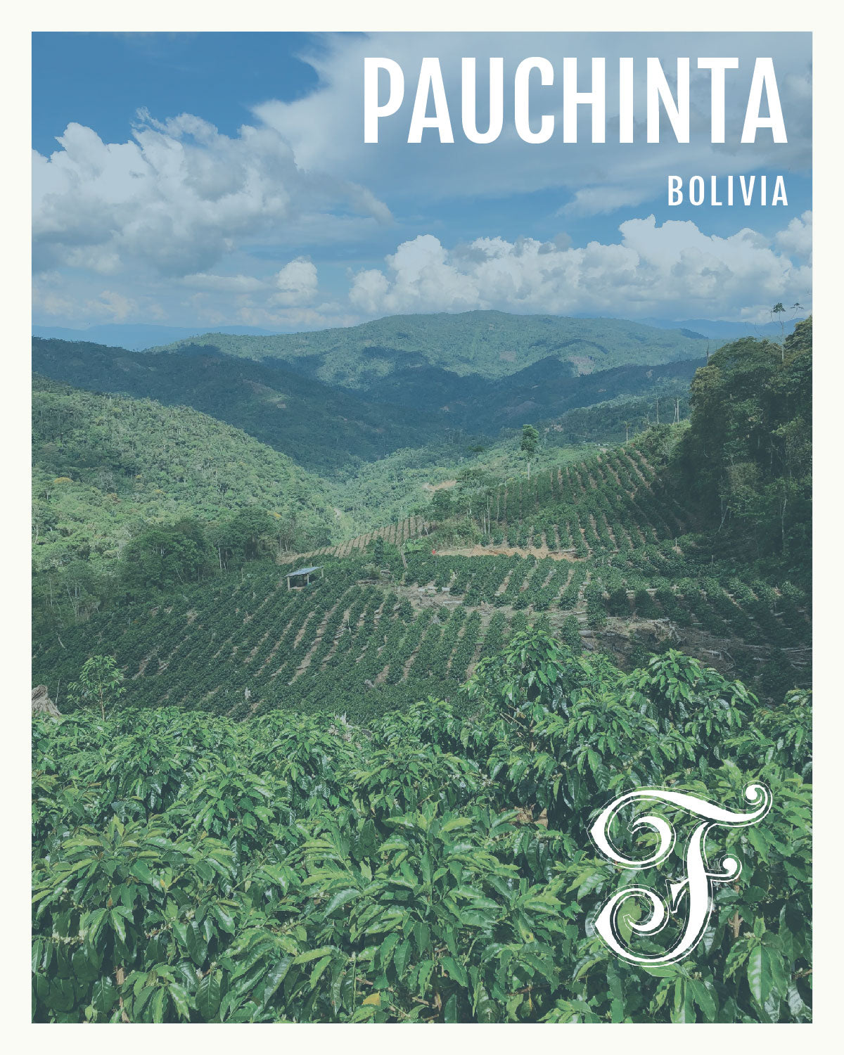 Photo of Bolivia Pauchinta